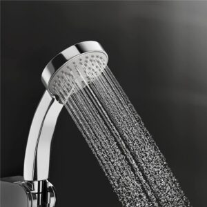 Premium Hand Shower Set with Flexible Hose, Silver